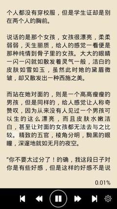 罗马尼亚驻华使馆都开放了哪些签证类型